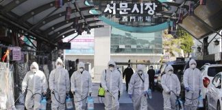 Contoh! Korsel dan Jerman Sukses Atasi Pandemi Corona Contoh!-Korsel-dan-Jerman-Sukses-Atasi-Pandemi-Corona