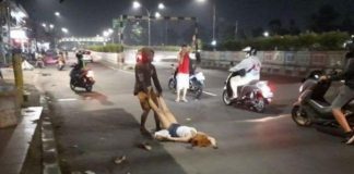 Wanita Pakai Tanktop Terkapar di Jalan, Sempat Dikira Korona