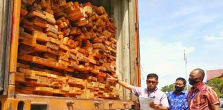 Polda Riau Amankan 30.0415 Kubik Kayu Diduga Hasil Illegal Logging di Kampar