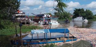 Kapal di Siak Tenggelam, Sejumlah makanan Ringan Mengapung di Sungai