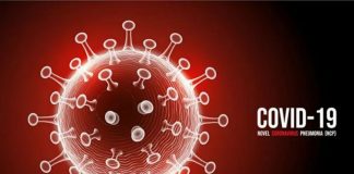 Pintu Masuk Pekanbaru Diperketat, Dishub Koordinasi dengan Tim Gugus Tugas