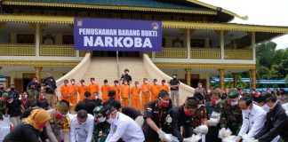 Polda Riau Musnahkan Hasil Tangkapan Narkoba di Halaman LAM Riau