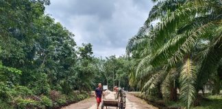 TMMD ke-108 Kodim Bengkalis Percepat Pembangunan di Desa Temiang tmmd-ke-108-kodim-bengkalis-percepat-pembangunan-di-desa-temiang