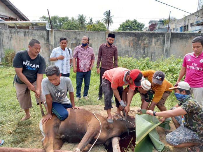 anggota-dpr-ri-effendi-sianipar-saksikan-pemotongan-hewan-kurban