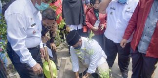 Sekda Kampar Lakukan Penanaman Simbolis 1000 Bibit Pohon Produktif Sekda-Kampar-Lakukan-Penanaman-Simbolis-1000-Bibit-Pohon-Produktif