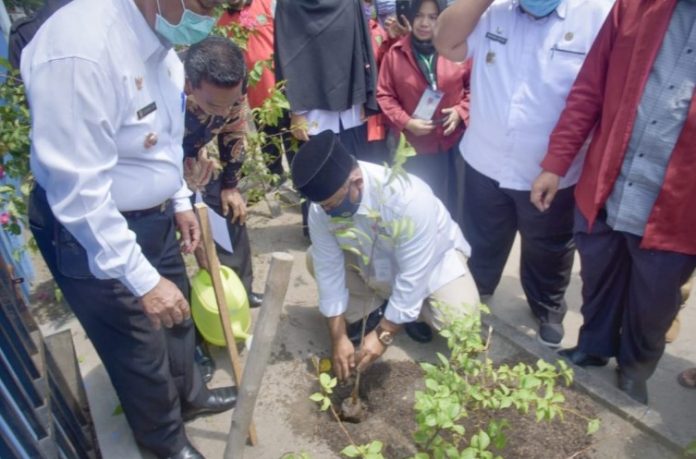 Sekda-Kampar-Lakukan-Penanaman-Simbolis-1000-Bibit-Pohon-Produktif