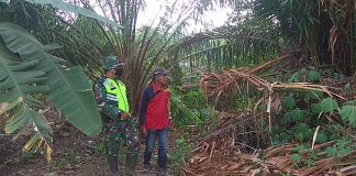 Serda Robbi Bersama Masyarakat Pastikan Tidak Ada Api di Desa Sungai Rawa