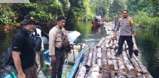 Gerak Cepat Polres Siak Selidiki Dugaan Ilegal Logging di Kampung Rawa gerak-cepat-polres-siak-selidiki-dugaan-ilegal-logging-di-kampung-rawa