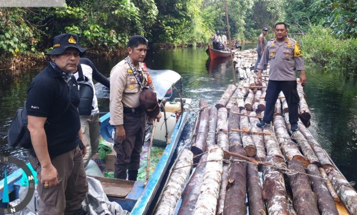 gerak-cepat-polres-siak-selidiki-dugaan-ilegal-logging-di-kampung-rawa