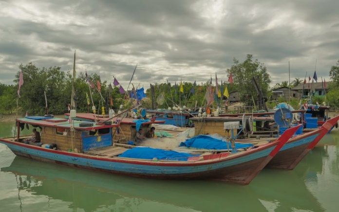 kkp-akan-bangun-pusat-pemasaran-ikan-internasional-di-rokan-hilir-riau