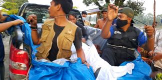 BBKSDA Riau Evakuasi Pesut di Pelalawan bbksda-riau-evakuasi-pesut-di-pelal