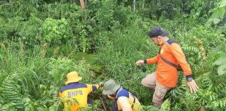 BPBD Riau Terus Lakukan Patroli di Wilayah Rawan Karhutla bpbd-riau-terus-lakukan-patroli-di-wilayah-rawan-karhutla
