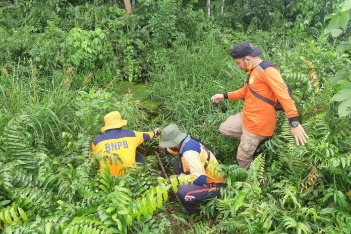 bpbd-riau-terus-lakukan-patroli-di-wilayah-rawan-karhutla