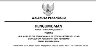Pengumuman Nama Peserta Lulus CPNS 2019 Kota Pekanbaru pengumuman-nama-peserta-lulus-cpns-2019-kota-pekanbaru