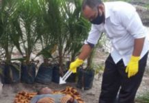 Ditemukan Mayat petani di Kanal Kelapa Sawit Senior Kerinci Ditemukan-Mayat-petani-di-Kanal-Kelapa-Sawit-Senior-Kerinci