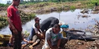 Operator dan Kernet Tewas Tenggelam, Akibat Alat Berat Jatuh ke Kanal Operator-dan-Kernet-Tewas-Tenggelam-Akibat-Alat-Berat-Jatuh-ke-Kanal