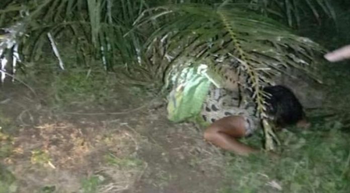 suami-tak-kuat-melihat-sang-isteri-meninggal-terlilit-tali-di-inhu