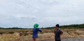 Limbah Pabrik Sawit Jebol, Polisi Periksa Manajemen PMKS PT SIPP Duri kolam-limbah-sawit-jebol-polres-bengkalis-periksa-manajemen-pmks-pt-sipp-duri-sejumlah-kolam-limbah-milik-pabrik-mini-kelapa-sawit-pt-sipp-polisi-mulai-lakukan-penyidikan-riauterkini-duri-jebolnya