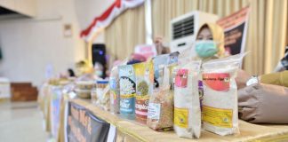 Jadikan Sagu Sebagai Sumber Ekonomi Saat Pandemi Covid-19 jadikan-sagu-sebagai-sumber-ekonomi-saat-pandemi-covid-19