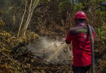 Pelalawan Tetapkan Status Siaga Karhutla Untuk Pekan Depan pekan-depan-pelalawan-tetapkan-stat