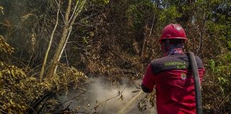 Pelalawan Tetapkan Status Siaga Karhutla Untuk Pekan Depan pekan-depan-pelalawan-tetapkan-stat