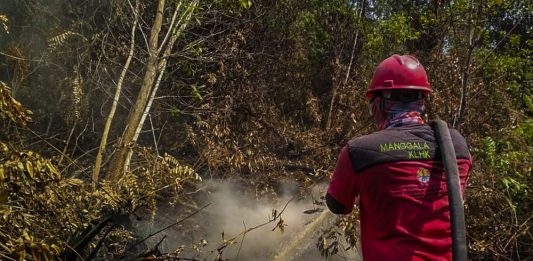 Pelalawan Tetapkan Status Siaga Karhutla Untuk Pekan Depan pekan-depan-pelalawan-tetapkan-stat