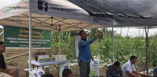 Petani Sejahtera, Bersama Bang Sinaga Menuju Kemandirian Pangan Riau Petani Sejahterah, Bersama Bang Sinaga Menuju Kemandirian Pangan Riau