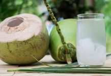 5 Manfaat Air Kelapa Muda Segarkan Dahaga Saat Buka Puasa 5 Manfaat Air Kelapa Muda Segarkan Dahaga Saat Buka Puasa