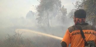 Cegah Karhutla, Pemprov Riau Harap Ada TMC Lanjutan