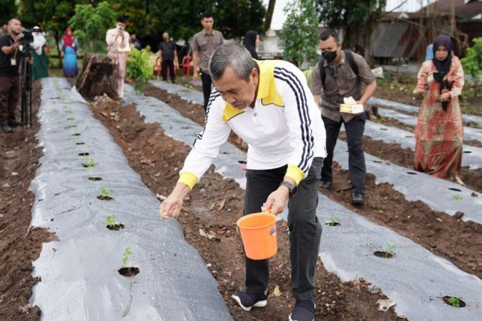 Gubri : Selain Cabai, Komoditas Lain Bisa Sebabkan Tingginya Inflasi