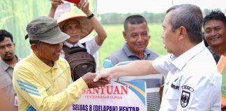 Bersama Gurbenur Syamsuar, Bupati Rohil Panen Raya Padi Nusantara 1 Juta Hektar
