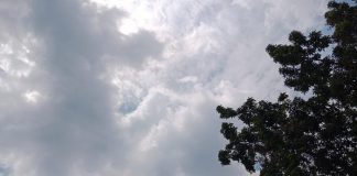 Medan Panas Terik Capai 36,5 Derajat Celsius, Ini Penjelasan BMKG Medan Panas Terik Capai 36,5 Derajat Celsius, Ini Penjelasan BMKG