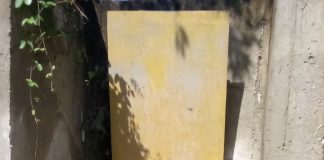 Kadis DLH Rohil Pantau Pembersihan Pintu Air Menuju Sungai Rokan