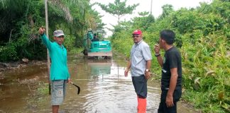 Walaupun Banjir Sudah Surat, Tim Satgas DLH Rohil Kembali Lakukan Normalisasi Parit