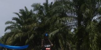 Warga Bagan Punak Bangun Jembatan Secara Swadaya, Lurah Ucapkan Terimakasih