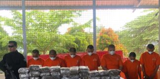 600 Kg Barang Bukti Jenis Ganja dari Aceh di Musnahkan BNNP Sumbar